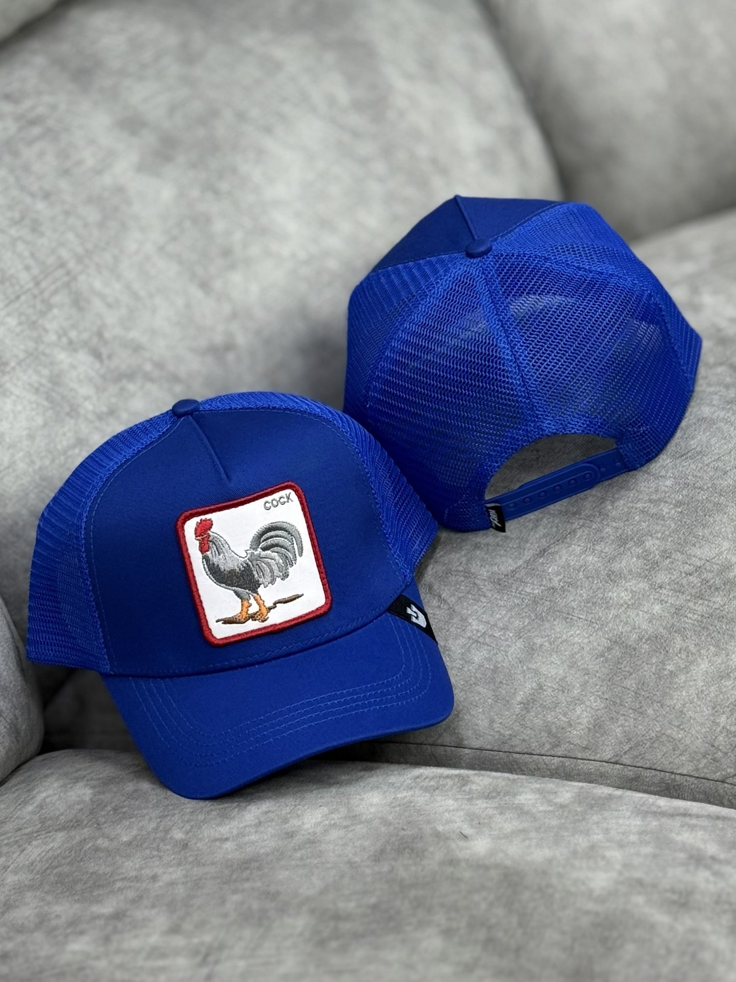 Gorra | B1 | GALLO