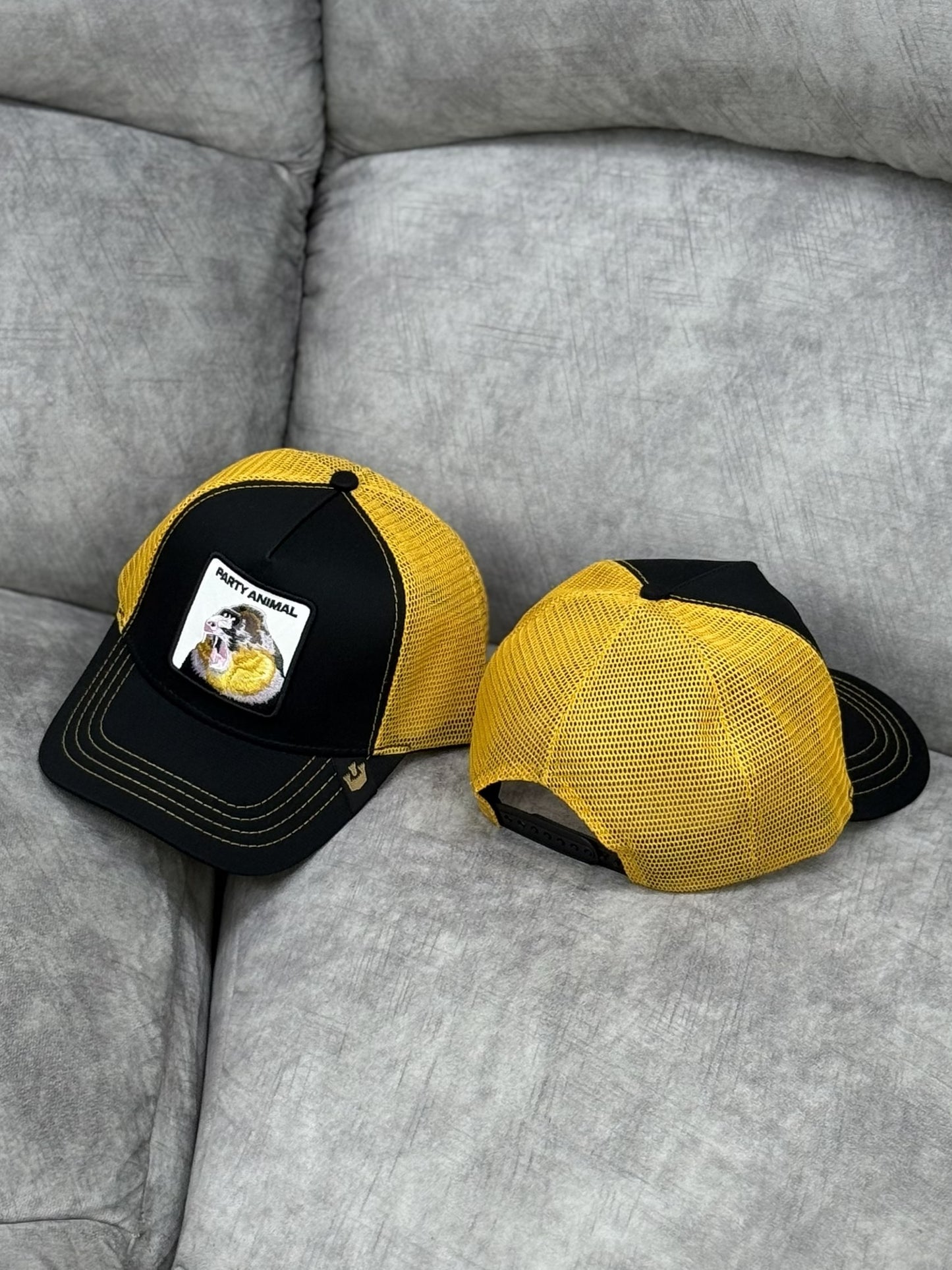 Gorra | B2 | ANIMAL
