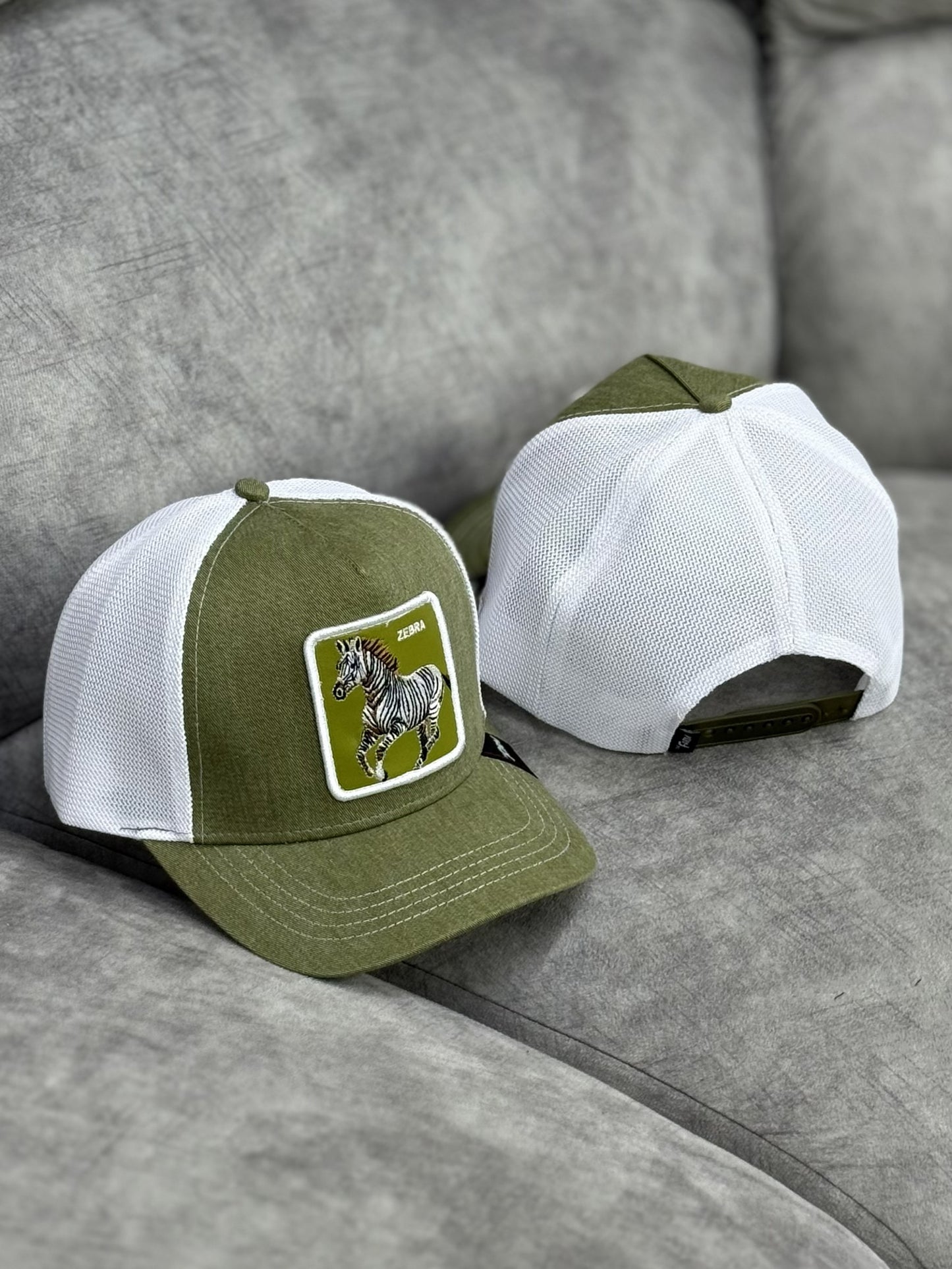 Gorra | L1-B1 | ZEBRA