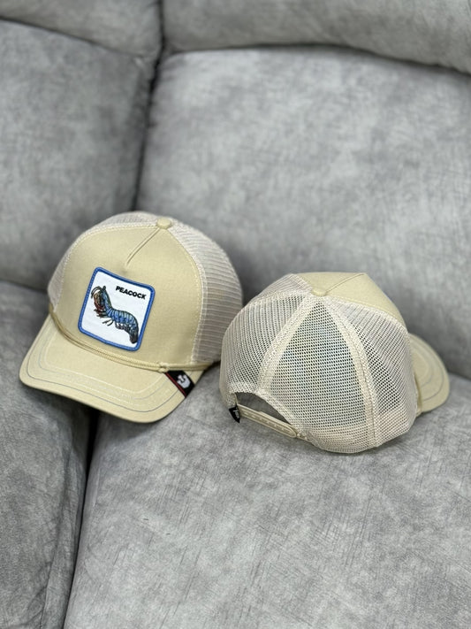 Gorra | B2 | PEACOCK