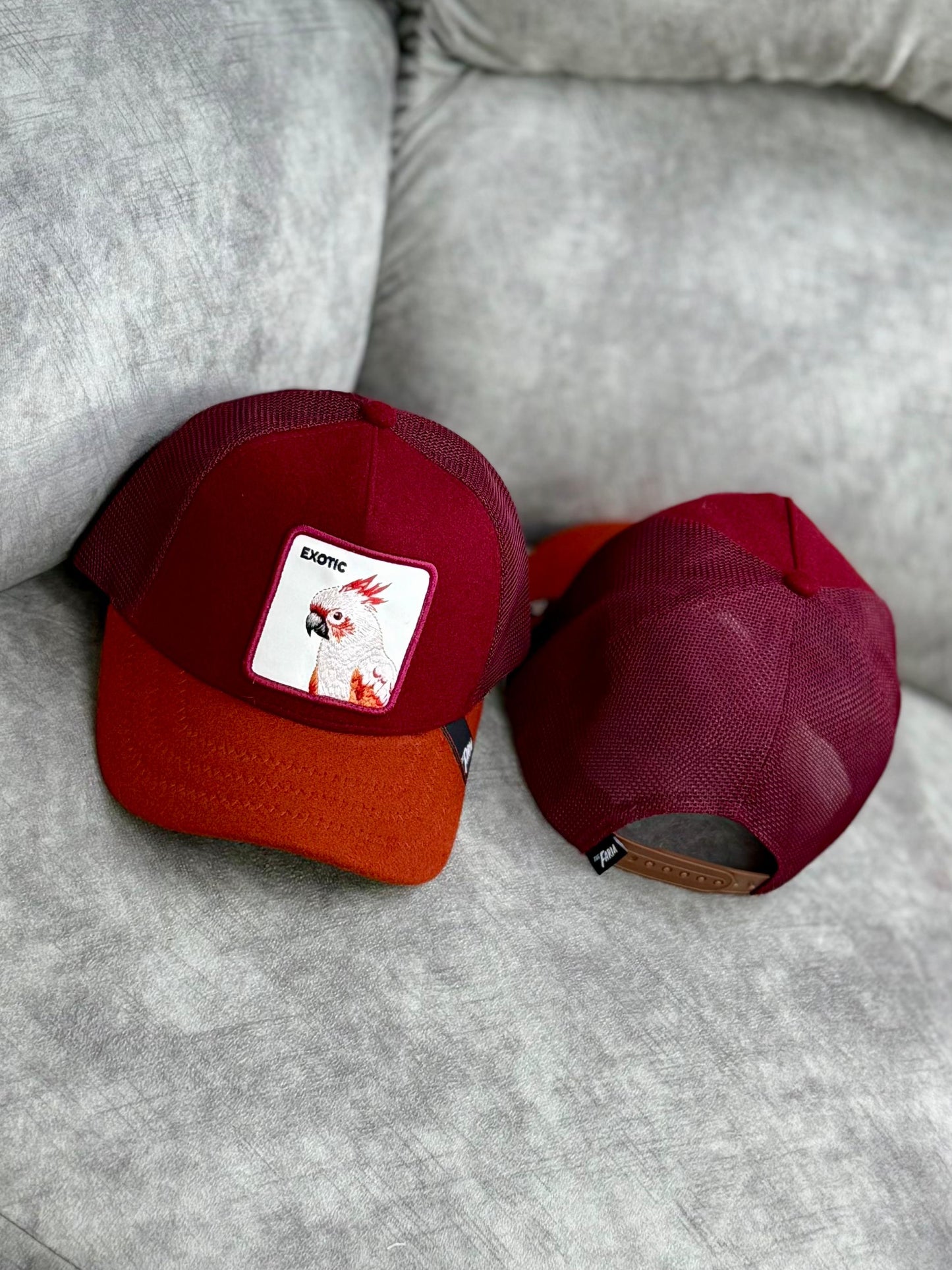 Gorra | B2-L1 | EXOTIC