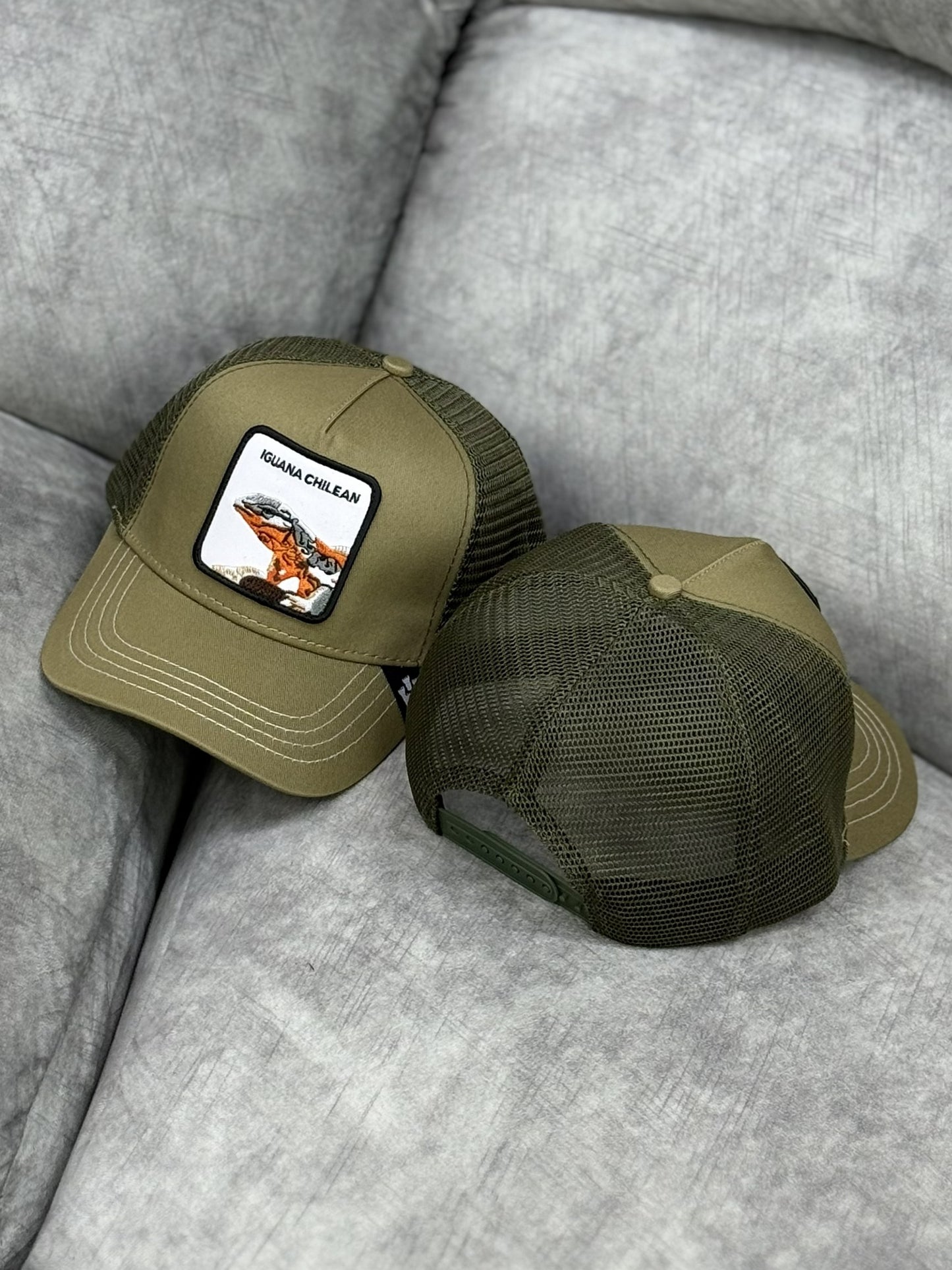 Gorra | B3 | IGUANA