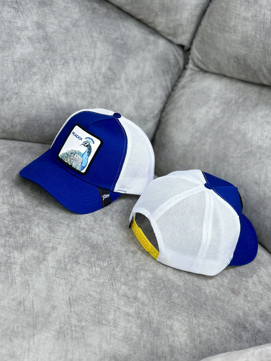 Gorra | L1 |  PEACOCK