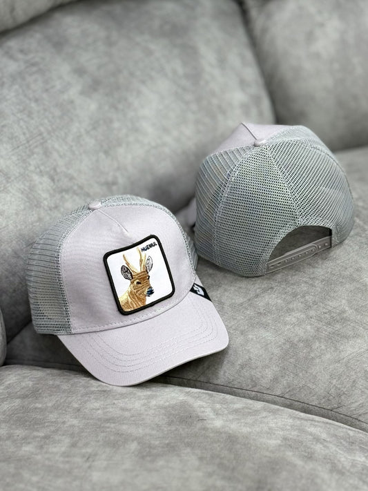 Gorra | B2 | VENADO